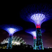 Gardens by the Bay, Singapore