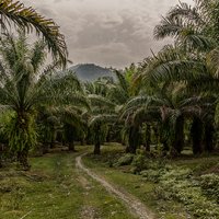 Batang Serangan, Sumatera Utara Sumatra