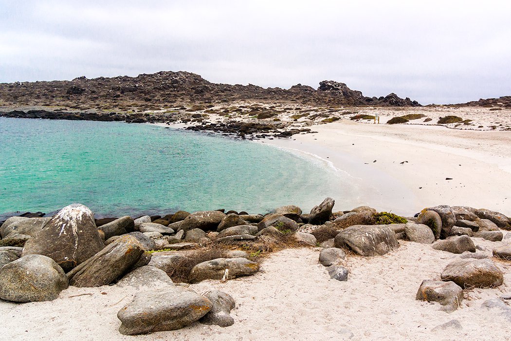 Isla Damas, Punta de Choros