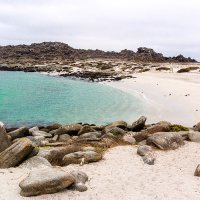 Isla Damas, Punta de Choros