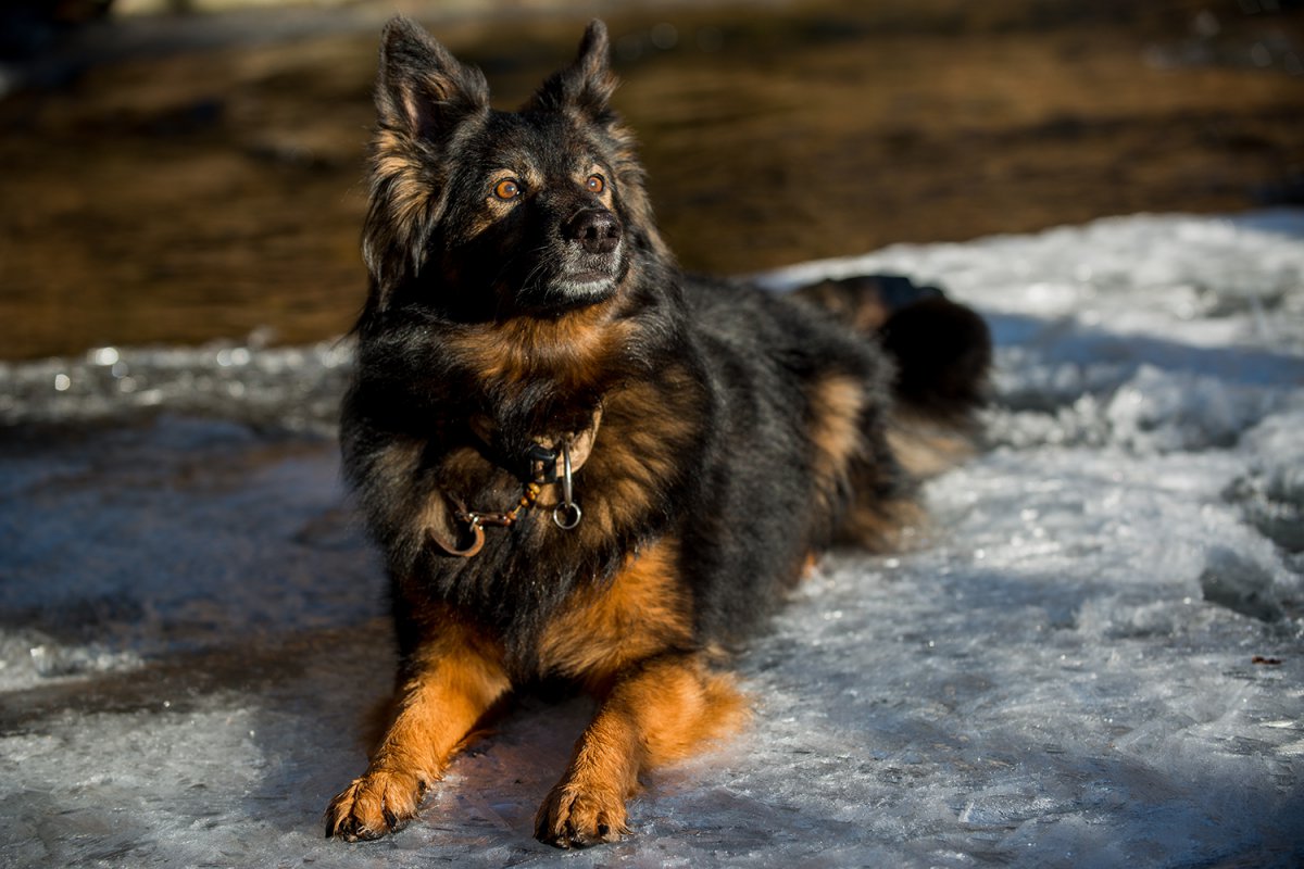 Max "on the rocks" :-)